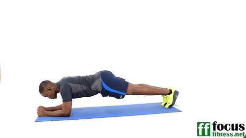 How to Do Elbow Plank Leg Lifts Exercise Properly - Flab Fix